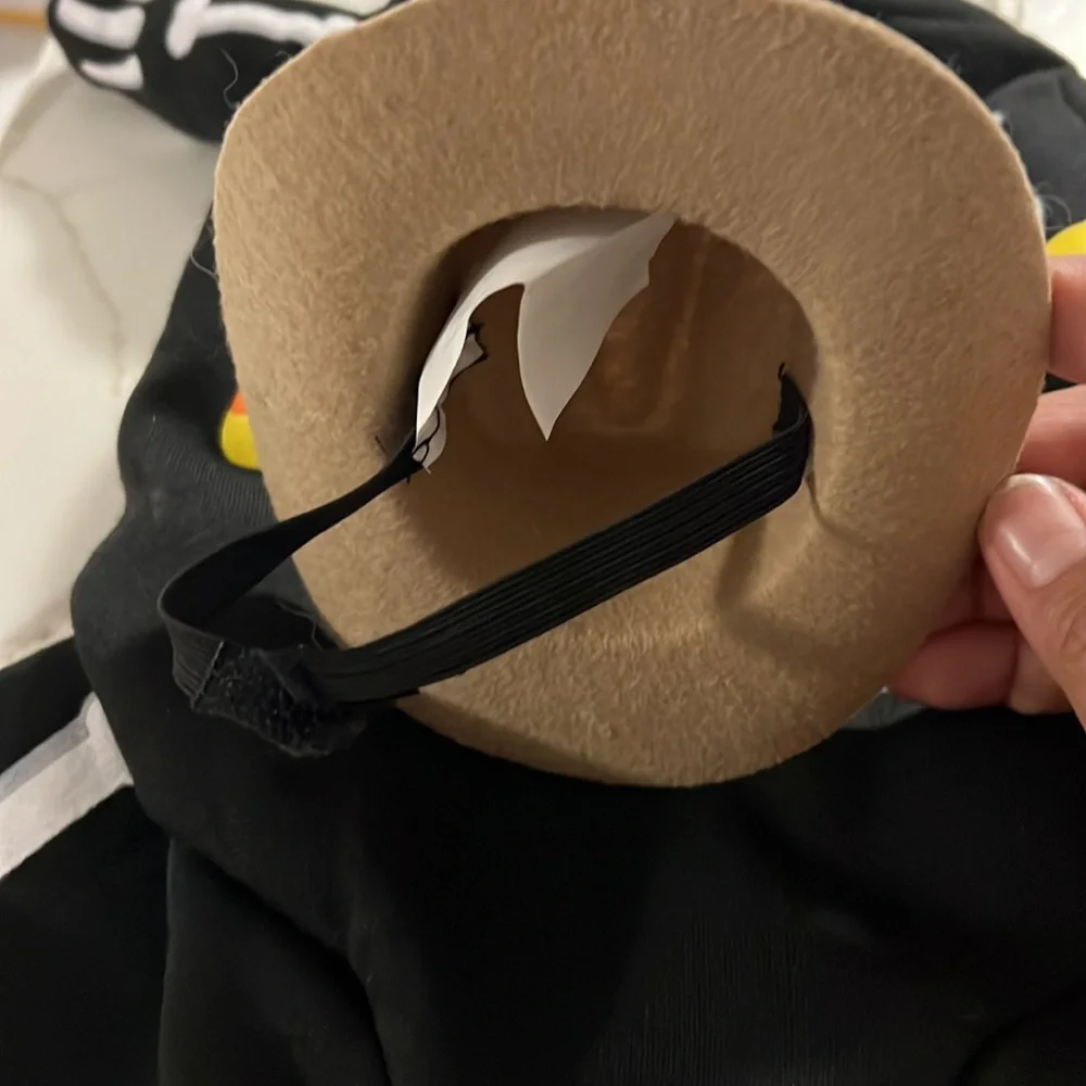 Dog costume